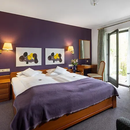 酒店 希特扎克公园酒店 4*