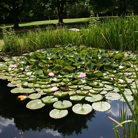 Parkhotel Hotel Hitzacker