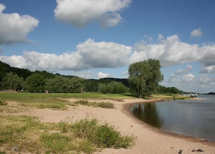 Отель Parkhotel 4*