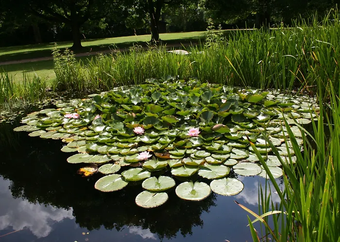 Parkhotel Отель Хитцаккер